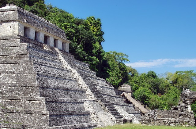 **Vuelos** Monterrey Palenque **Vuelos** Monterrey Palenque